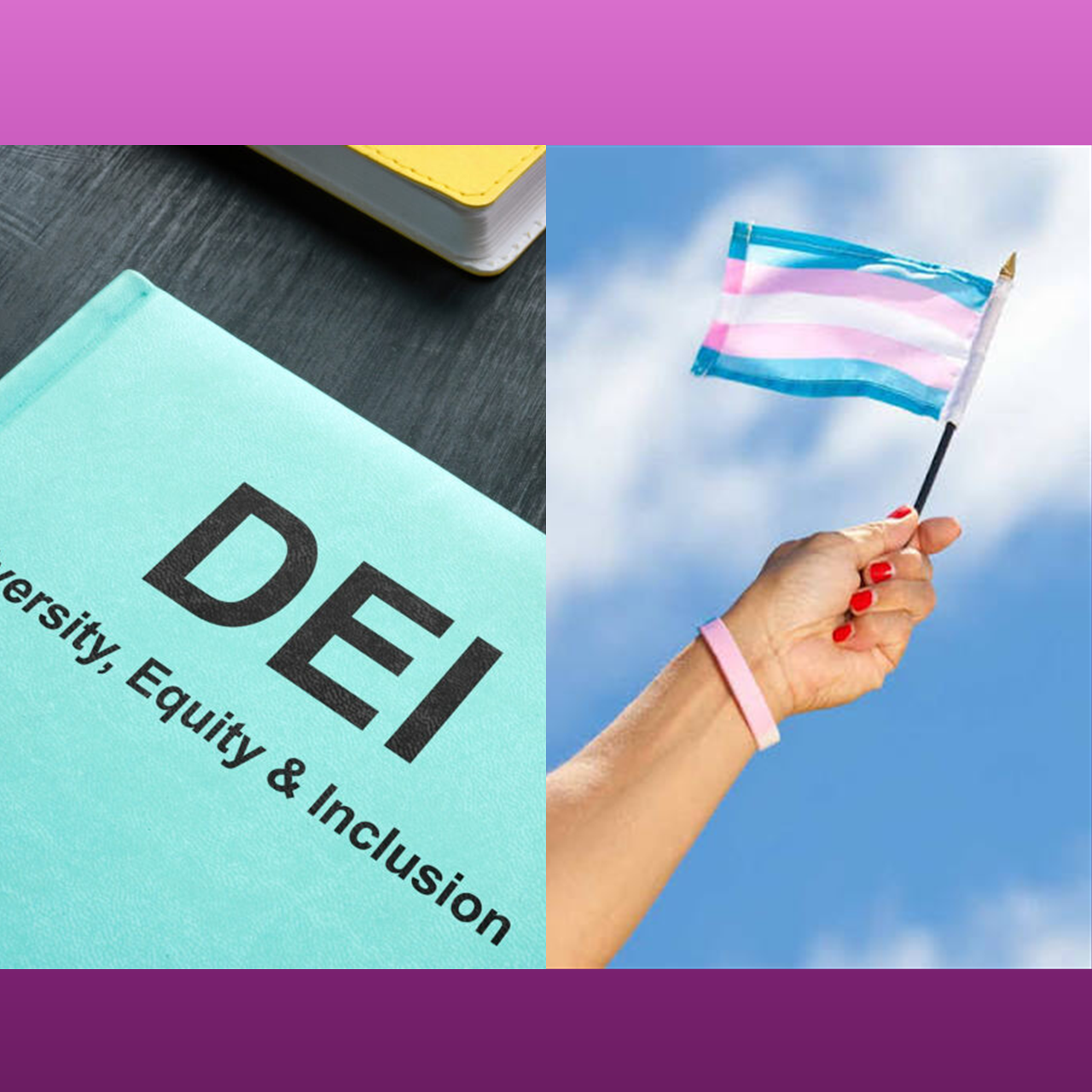 DEI & Gender Ideology